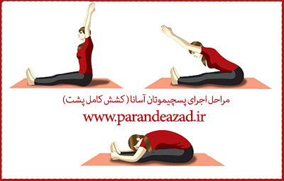  ,Paschimottanasana,yoga,asana,کرج یوگا,یوگا,یوگاکرج,کلاس یوگاکرج,کلاس یوگااستان البرز,پسچیموتان آسانا,کشش کامل پشت,آسانا,یوگا,سلامتی,جوانی,پرنده آزاد یوگا,